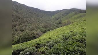 Seventy years after Independence, adivasis in the Nilgiris say they still haven't got their due