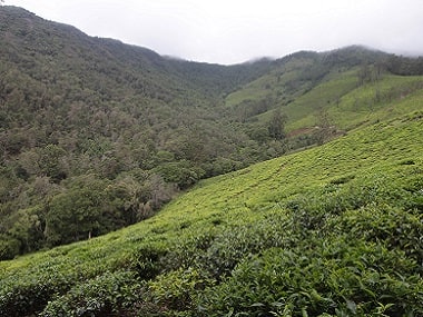 Seventy years after Independence, adivasis in the Nilgiris say they still haven't got their due