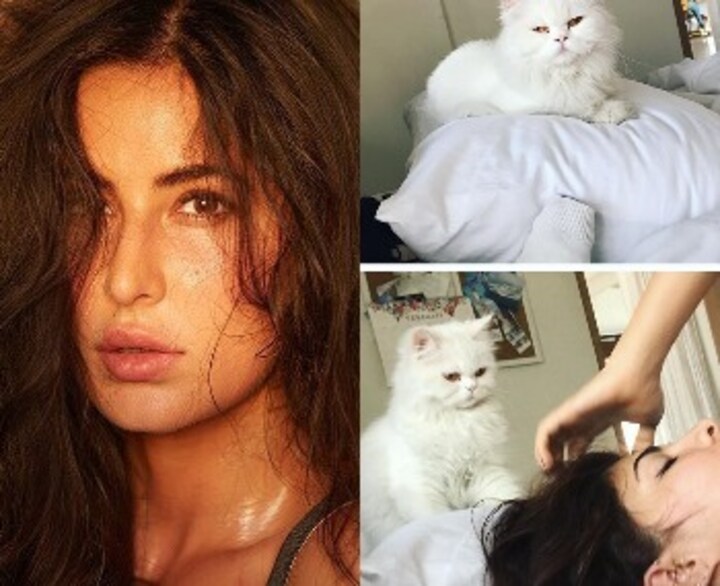 Katrina's sunkissed selfie, Jacqueline and her unimpressed cat: Social Media Stalkers' Guide