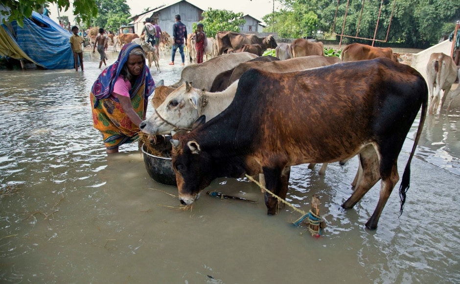 More than 30 lakh people have been affected in over 24 districts of the state, while eight rivers have already flowed above the danger level. AP More than 30 lakh people have been affected in over 24 districts of the state, while eight rivers have already flowed above the danger level. AP