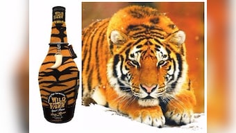 How Wild Tiger Rum is earning its stripes in the premium spirits segment