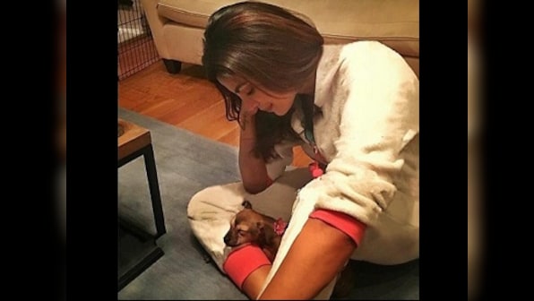 Priyanka Chopra's first Hindi film as producer could have a story about stray dogs and children