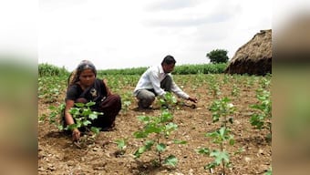 Maharashtra and farm loan waivers: Farmers say Devendra Fadnavis govt raised their hopes only to shatter them