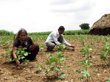 Maharashtra and farm loan waivers: Farmers say Devendra Fadnavis govt raised their hopes only to shatter them Maharashtra and farm loan waivers: Farmers say Devendra Fadnavis govt raised their hopes only to shatter them