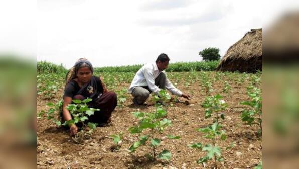 Maharashtra and farm loan waivers: Farmers say Devendra Fadnavis govt raised their hopes only to shatter them