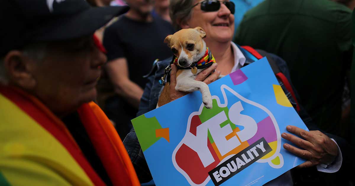 Australia Same Sex Marriage Poll Thousands Rally In Support Of Gay 