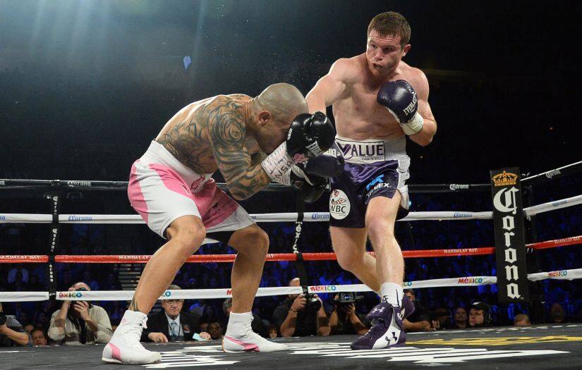 File photo of Canelo Alvarez (purple trunks) and Miguel Cotto (pink trunks) boxing during their WBC and Ring Magazine middleweight boxing title fight in 2015. Alvarez won via unanimous decision. Reuters
