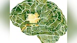 Deep learning will be critical for predicting demand, fraud and failure by 2019: Gartner