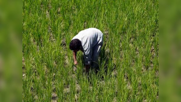 Farm crisis: Climate change shrinks productivity; agrarian life, rural economy under threat