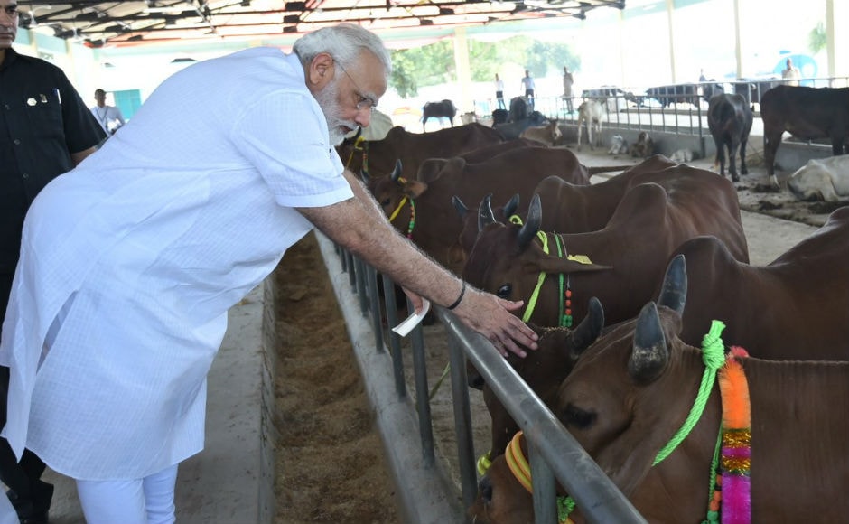 Speaking at the fair, which is being organised for the first time on 1800 acres of land in Shahanshahpur, Modi said that proper healthcare of the cattle through such initiatives, would help increase milk production in India. Twitter @BJP4India Speaking at the fair, which is being organised for the first time on 1800 acres of land in Shahanshahpur, Modi said that proper healthcare of the cattle through such initiatives, would help increase milk production in India. Twitter @BJP4India