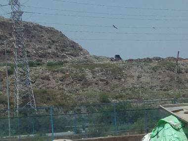 NGT directs Delhi govt to submit action plan identifying alternative landfill sites in two weeks
