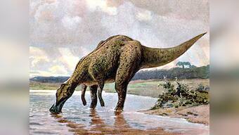 Study of fossilised dung shows herbivorous dinosaurs occasionally munched on crustaceans