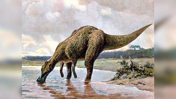 Study of fossilised dung shows herbivorous dinosaurs occasionally munched on crustaceans