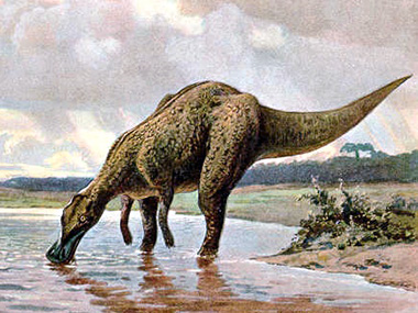 Study of fossilised dung shows herbivorous dinosaurs occasionally munched on crustaceans Study of fossilised dung shows herbivorous dinosaurs occasionally munched on crustaceans