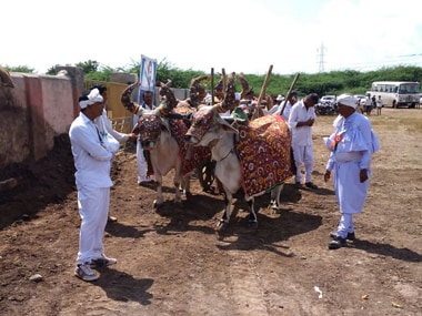 The bullock cart Rahul Gandhi later rode on. Darshan Desai/Firstpost