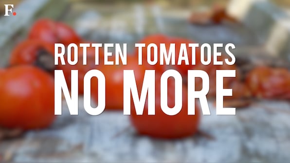 No more rotten tomatoes: New start-up helps increase tomato shelf life