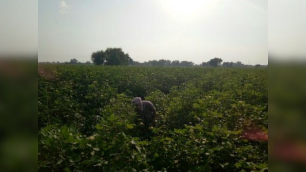 With Dera Sacha Sauda under police lens, villages near Sirsa become collateral damage