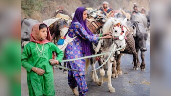 Travelling with the Van Gujjars: Tracing a forest-dwelling nomadic tribe's spring migration