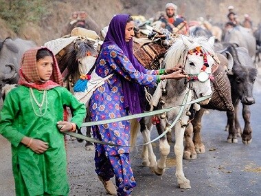 Travelling with the Van Gujjars: Tracing a forest-dwelling nomadic tribe's spring migration