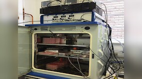 Researchers grow three dimensional bone tissue in lab, paving the way for new benefits in orthopaedics