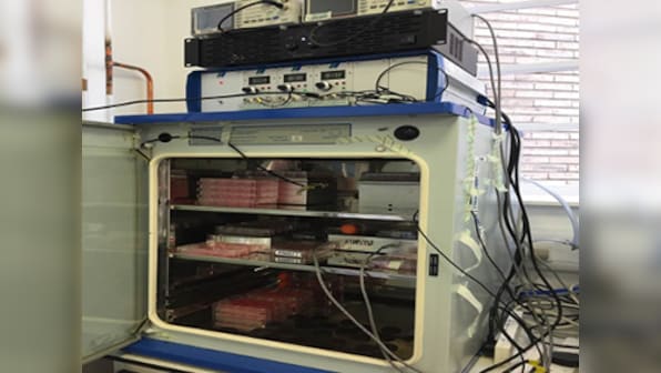Researchers grow three dimensional bone tissue in lab, paving the way for new benefits in orthopaedics