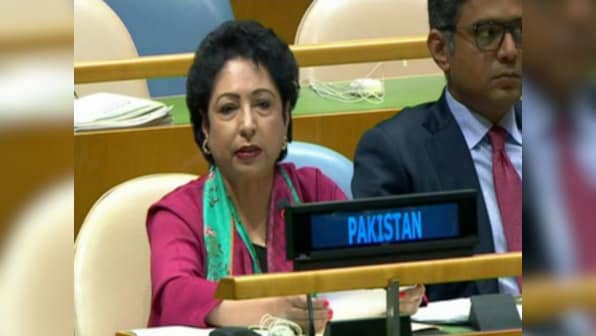 At UN, Pakistan's Maleeha Lodhi shows Gaza war victim's photo as face of Indian atrocities; draws flak