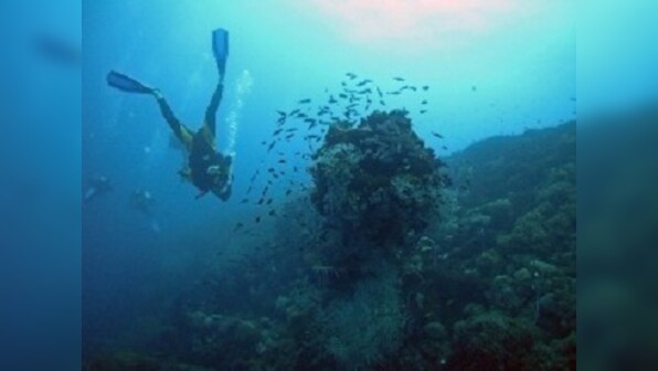 The destruction of reefs is bad news for humanity: How we can work to reverse the damage