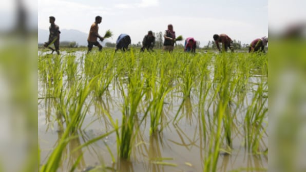 Govt pegs 2.77% fall in kharif foodgrain output at 134.67 mt