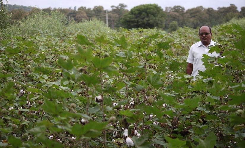 Yavatmal farmer deaths Part 3: Data scarcity on pesticide poisoning major hurdle in finding corrective measures