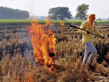 Delhi pollution: Action against farmers no solution to check crop burning, SC told