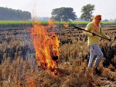 Delhi pollution: Action against farmers no solution to check crop burning, SC told Delhi pollution: Action against farmers no solution to check crop burning, SC told