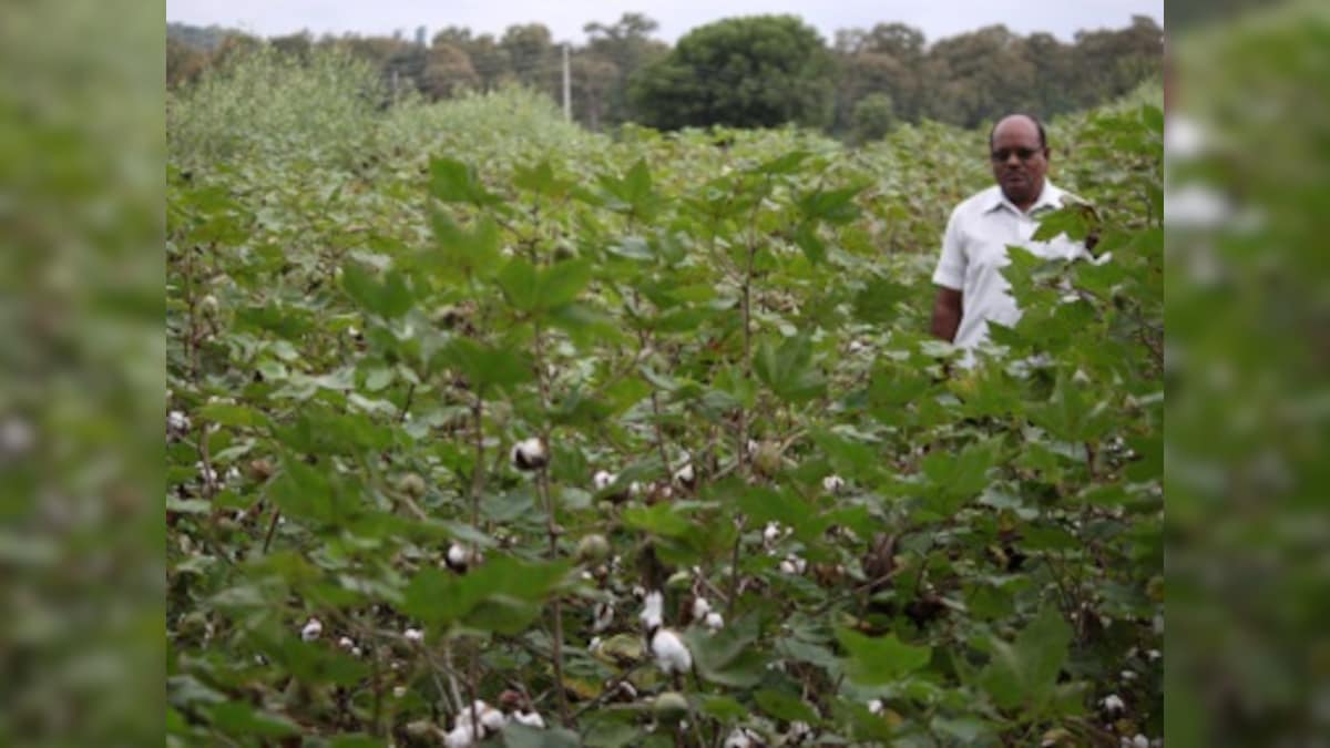 Yavatmal farmer deaths Part 3: Data scarcity on pesticide poisoning major hurdle in finding corrective measures