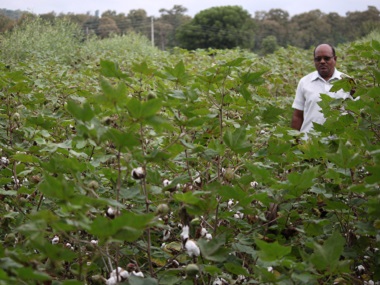 Yavatmal farmer deaths Part 3: Data scarcity on pesticide poisoning major hurdle in finding corrective measures Yavatmal farmer deaths Part 3: Data scarcity on pesticide poisoning major hurdle in finding corrective measures