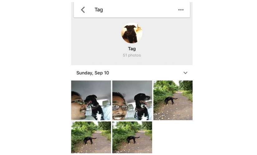The new feature in Photos also shows you pictures of you and your pet, after you label your pet.