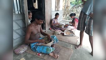 Assam floods aftermath Part 2: Hapless farm families in Dhubri take to beedi rolling for survival