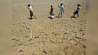 Odisha govt likely to declare drought-hit areas after 98 blocks face dry spell