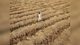 Maha farm loan waiver: Banks goof up beneficiary list big time, bring Devendra Fadnavis' plan to grinding halt
