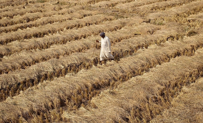 Maha farm loan waiver: Banks goof up beneficiary list big time, bring Devendra Fadnavis plan to grinding halt