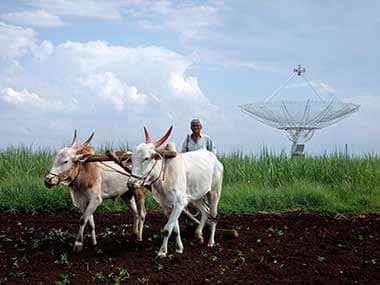 Yavatmal farmer deaths: Maharashtra govts move to ban five pesticides for 60 days not enough, say experts