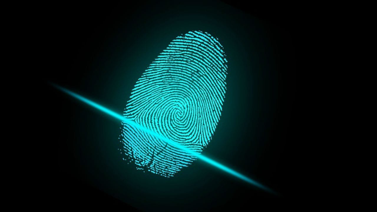 fingerprint fingerprint