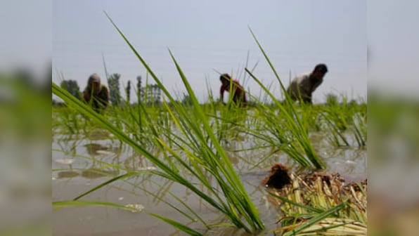 Demonetisation dealt a body blow to agriculture; govt should find holistic solution to farmer debt issue
