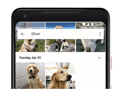 Google Photos with pet recognition feature. Image: Google