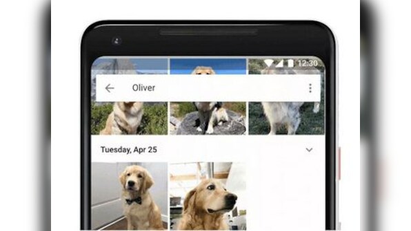 Google Photos can now recognise even your pets in its latest update