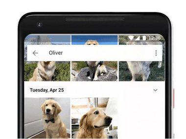 Google Photos can now recognise even your pets in its latest update