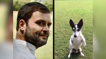 Pidi syndrome portends warning to private sector: It must respond more maturely to 'disruptive' reforms