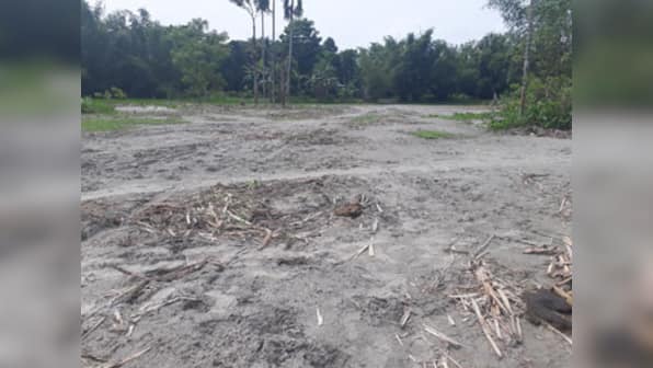 Assam floods aftermath Part 3: Farmers find no respite in receding waters as layers of sand bury farmland