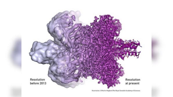 Trio take Nobel Prize in Chemistry for improved imaging of biomolecules; work may aid study on Zika virus