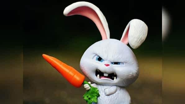 Indian Computer Emergency Response Team issues medium severity alert on 'Bad Rabbit' ransomware