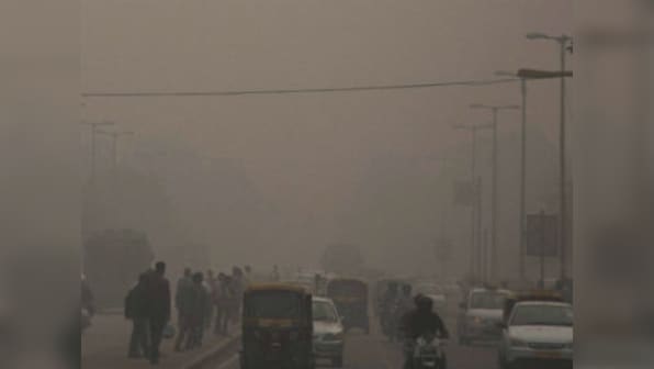 Delhi puts citizens at risk as national capital's green cover shrinks rapidly to make way for development