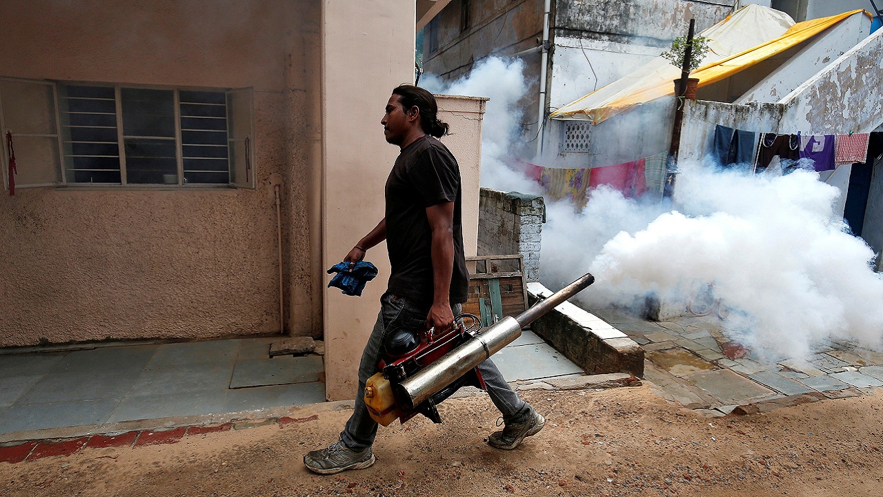 Trial with sterilised mosquito slashes dengue-spreading population by 80 percent Trial with sterilised mosquito slashes dengue-spreading population by 80 percent